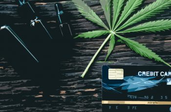 Cannabis Credit Card Processing