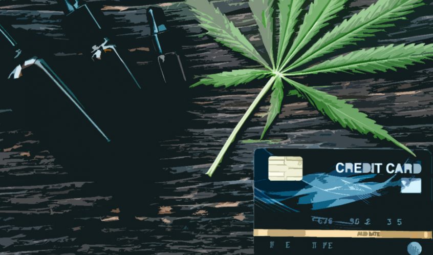 Cannabis Credit Card Processing