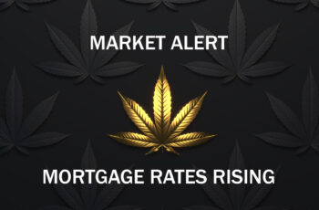 Cannabis Financing Market Alert