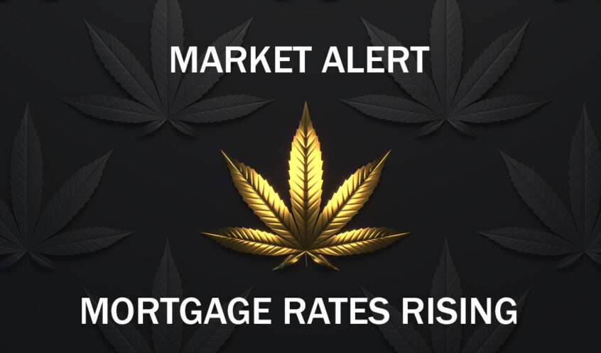 Cannabis Financing Market Alert