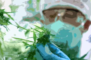 Cannabis Financing Update for Q3