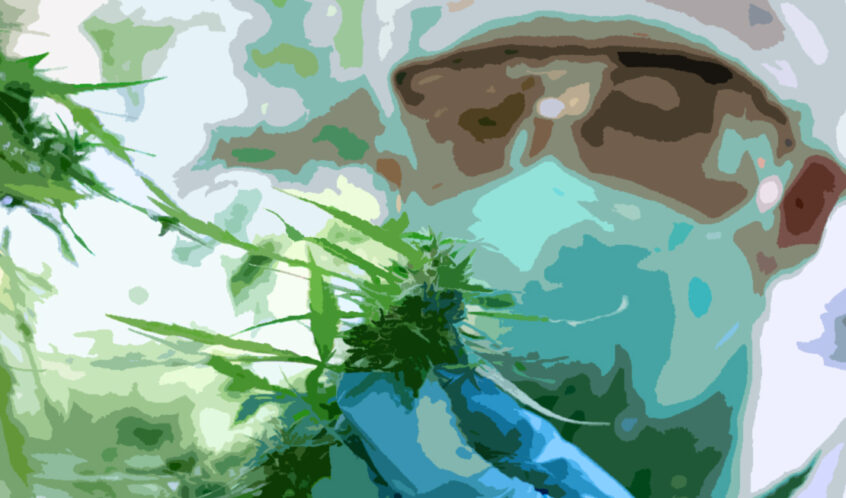 Cannabis Financing Update for Q3