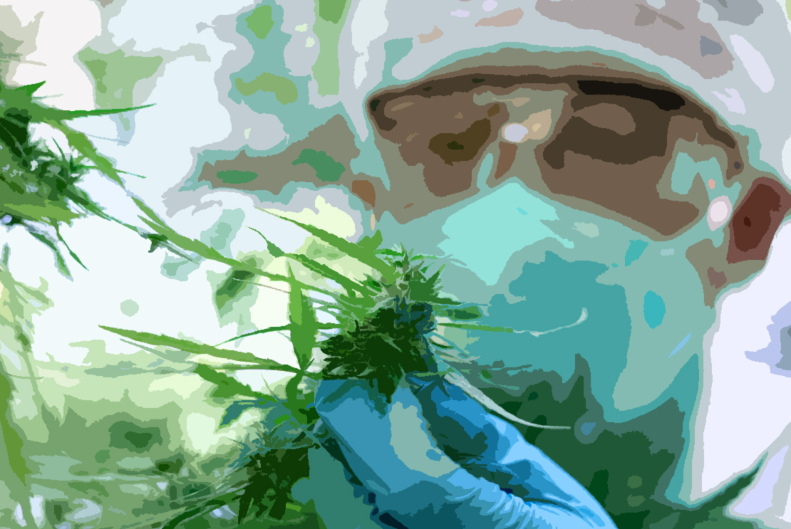 Cannabis Financing Update for Q3